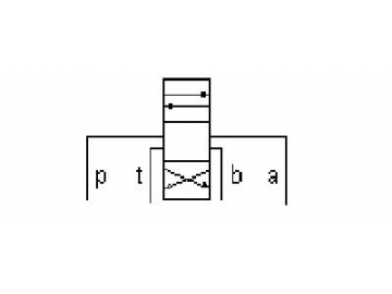 Successsun designs and manufactures hydraulic manifold since 2003