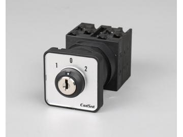 Rotary Cam Switches  Manufacturer Since 1981