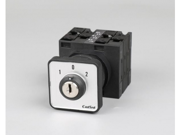 Rotary Cam Switches  Manufacturer Since 1981