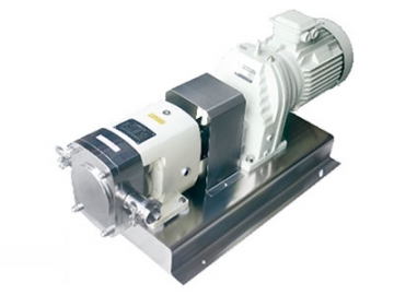 Rotary Lobe Pump