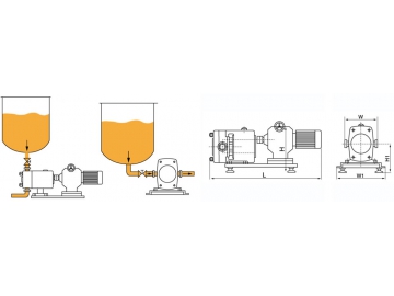 Rotary Lobe Pump