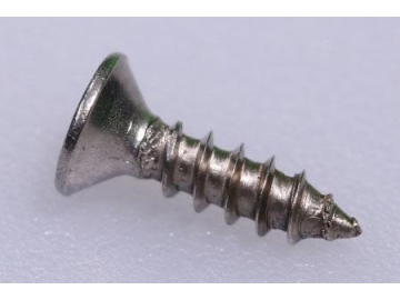 Self-tapping Screw