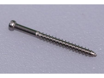 Self-tapping Screw