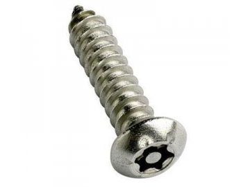 Tamper Proof Screw