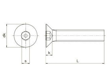 Tamper Proof Screw