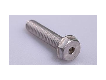 Stainless Steel Fastener