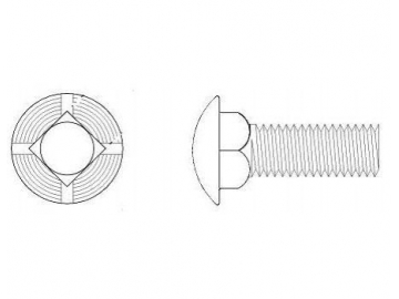 Carriage Bolt