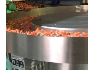 Capsule Strip Packaging Machine