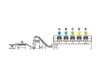 JW-MIX2 Weighing and Packing Line for Mixed Products