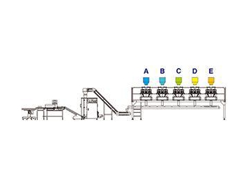 JW-MIX2 Horizontal Weighing and Packing Line for Mixed Products with 10 Head Weigher