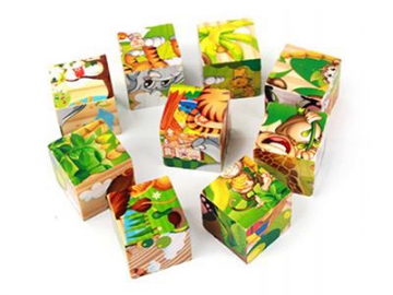 6 Sided Block Puzzles