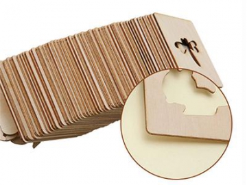 DIY Painting Wooden Toy Set