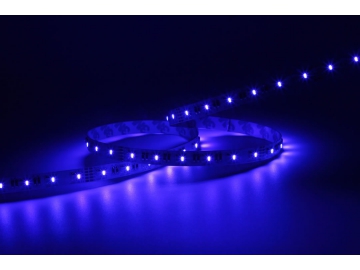 Colorful RGB LED Strip Light, Waterproof IP68, SMD 5050 LED