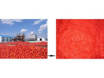 Tomato Paste Production Line