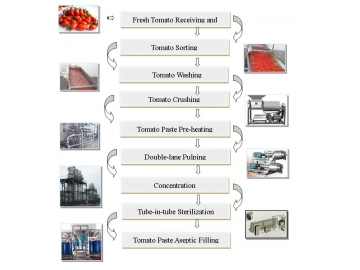 Tomato Paste Production Line