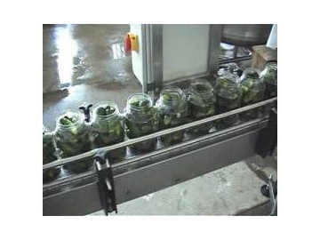 Canned Cucumber Processing Line