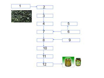 Canned Cucumber Processing Line