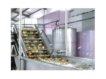 Mango Pulp Processing Line