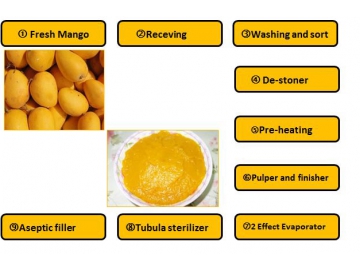 Mango Pulp Processing Line