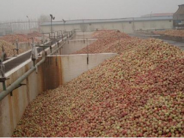 Apple Juice Concentrate Processing Line