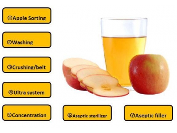 Apple Juice Concentrate Processing Line