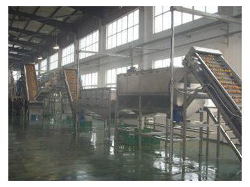 Orange Juice Concentrate Processing Line