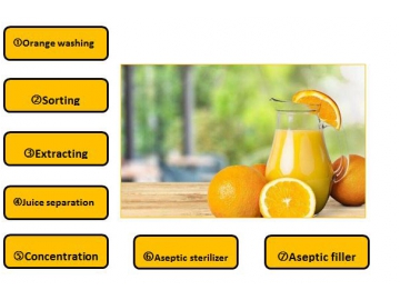 Orange Juice Concentrate Processing Line