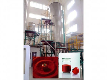 Tomato Powder Production Line