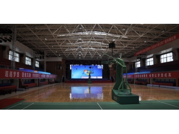 Indoor Stadium Sport LED Display