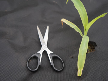 Nonwoven Landscape Fabric, Weed Fabric Rolls