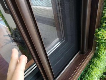 Screen window