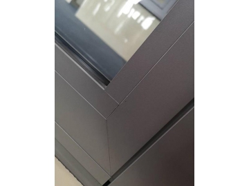 ES52 Swing Door