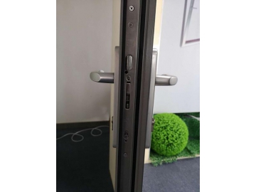 ES52 Swing Door