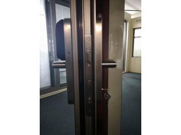 ES61 Swing Door With Fingerprint Lock