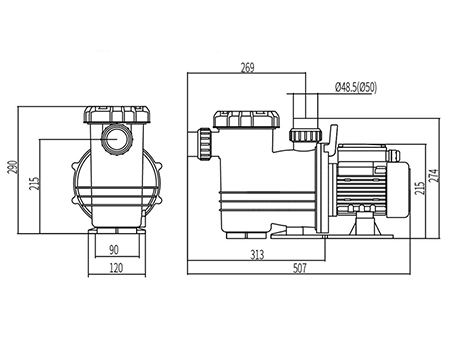 Swimming Pool Pump, DXD-310FM