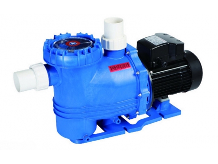 Swimming Pool Pump, DXD-330FM