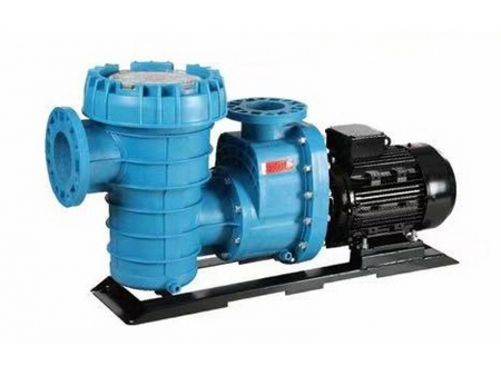 Swimming Pool Pump, CB-P100