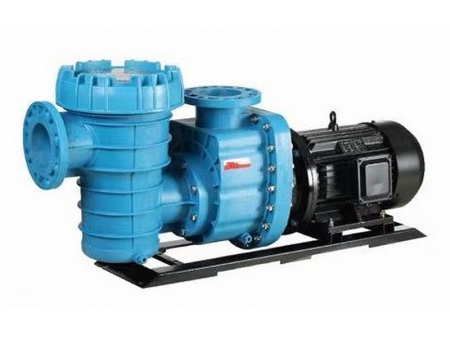 Swimming Pool Pump, CB-P150