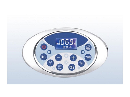 Electronic Control Systems