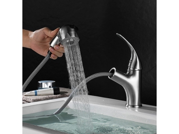 Sink Faucet  SW-BFP001