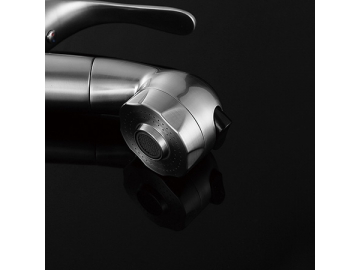 Sink Faucet  SW-BFP001