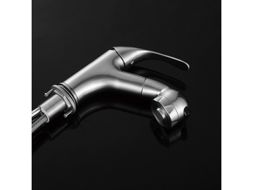 Sink Faucet  SW-BFP001