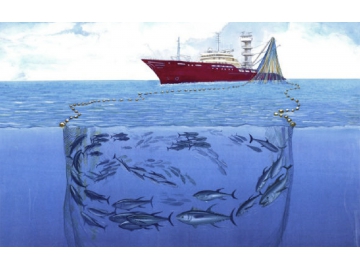 Large-Scale Tuna European Purse Seine