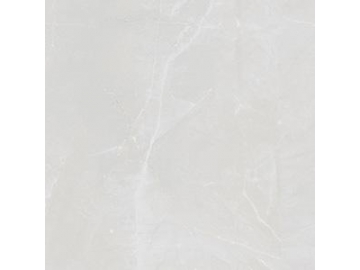 Marble Look tile- Toscana