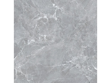 Marble Look Tile - Titanium