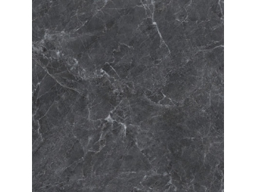 Marble Look Tile - Titanium