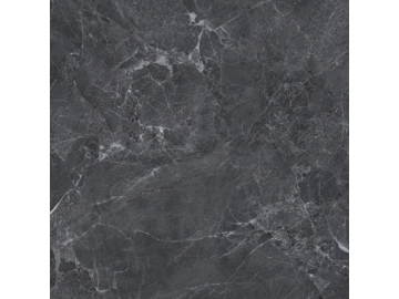 Marble Look Tile - Titanium