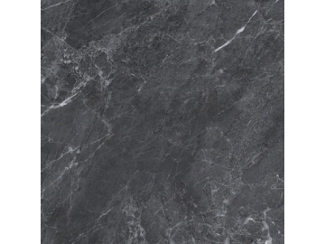 Marble Look Tile - Titanium