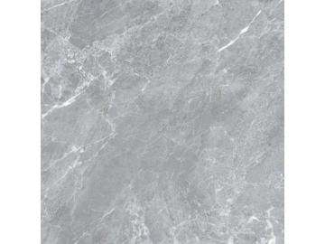 Marble Look Tile - Titanium