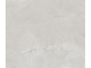 Marble Look Tile- Aragon